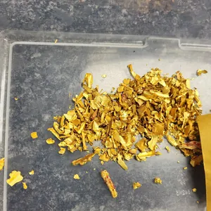 Gold jewelry piece 7 on display